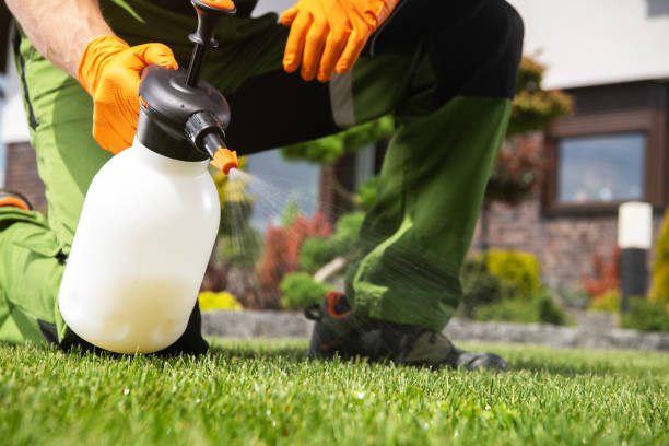 Best Wildlife Control Services  in Cottonwood, AL