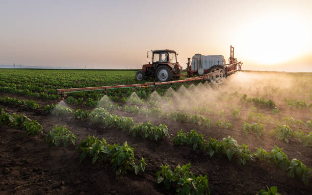 Best Best Pest Control Companies  in Cottonwood, AL