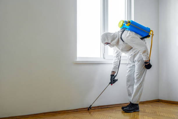 Best Pest Removal Services  in Cottonwood, AL