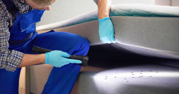 Best Flea Control Services  in Cottonwood, AL