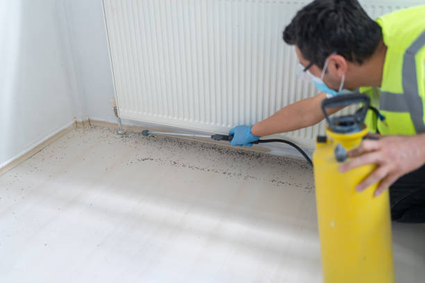 Best Pest Removal Services  in Cottonwood, AL